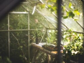 Ways To Live An Eco-FrieWays To Live An Eco-Friendly Lifestyle #eco-friendlylifestyle #eco-friendlyenvironment #lifestyle #eco-friendlyproduct #reduceemission #ndly Lifestyle #eco-friendly lifestyle #eco-friendly environment