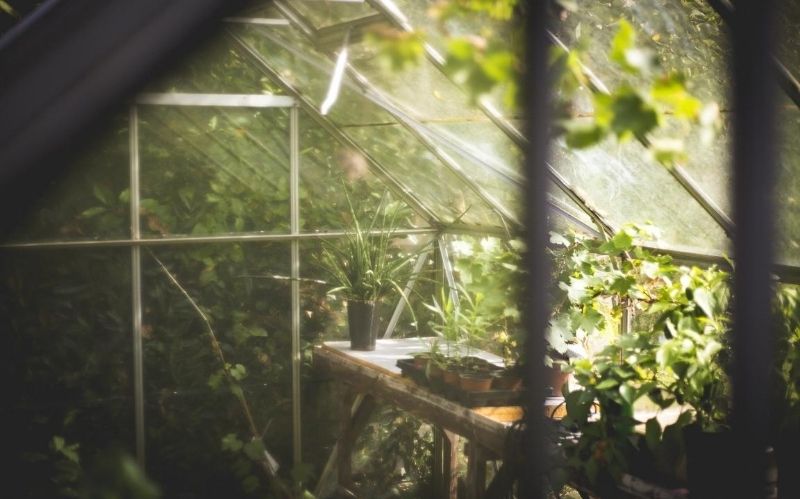Ways To Live An Eco-FrieWays To Live An Eco-Friendly Lifestyle #eco-friendlylifestyle #eco-friendlyenvironment #lifestyle #eco-friendlyproduct #reduceemission #ndly Lifestyle #eco-friendly lifestyle #eco-friendly environment