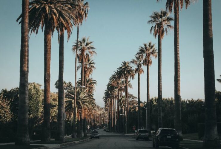 What Do You Need Before Starting LLC in California? #beverlyhills #beverlyhillsmagazine #bevhillsmag #articlesoforganization #limitedliabilitycompany #businessstructure #LLCinCalifornia #legalstatus