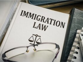 What To Look For In an Immigration Lawyer #beverlyhills #beverlyhillsmagazine #immigrationlawyer #immigrationattorney #legalcounsel #legalimmigrationstatus