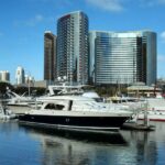 What to Do During Quarantine in San Diego #beverlyhills #beverlyhillsmagazine #bevhillsmag #sandiego #sandiegowhalewatchingtour #movienight #quarantine #virtualtour