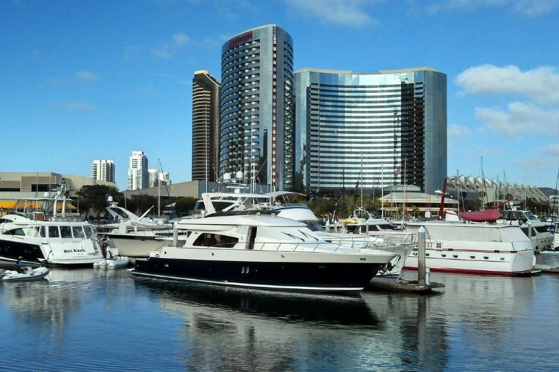 What to Do During Quarantine in San Diego #beverlyhills #beverlyhillsmagazine #bevhillsmag #sandiego #sandiegowhalewatchingtour #movienight #quarantine #virtualtour