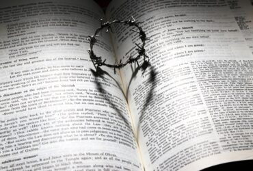 New International Version Bible #bible #jesus #beverlyhills #beverlyhillsmagazine #bevhillsmag #wordofgod #faith #christian