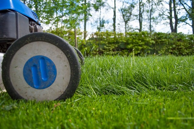 How to Select the Right Lawn Mower for Your Yard #lawmower #garden #lawn #grass