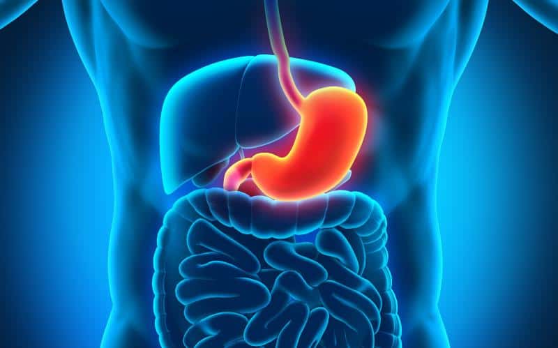 Symptoms, Treatment and Causes of Antral Gastritis #stomach #beverlyhills #beverlyhillsmagazine #bevhillsmag #health