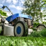 4 Tips to Get the Perfect Lawn #homeowners #dreamhomes #realestate #luxuryhomes #bevhillsmag #beverlyhills #beverlyhillsmagazine