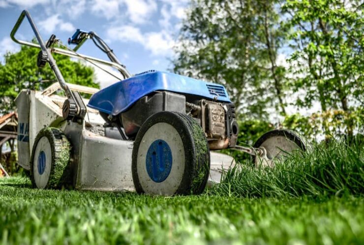 4 Tips to Get the Perfect Lawn #homeowners #dreamhomes #realestate #luxuryhomes #bevhillsmag #beverlyhills #beverlyhillsmagazine