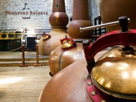 Distillery Tour Etiquette - Do’s and Don’ts #business