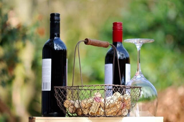 Wine Tasting with Bottles of Wine And WIne Glasses