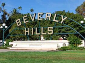 Beverly Hills Gardens Park Lily Pond