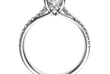 6 Types of Engagement Ring Settings in Order of Popularity #fashion #style #shop #shopping #clothing #beverlyhills #jewellery #stylesforwomen #ring #weddingrings #engagements #ring #love #jewelry #diamonds #diamond #beverlyhillsmagazine #bevhillsmag