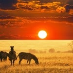 Exclusive-Escapes-Africa-Safari-Uganda-Safari-Travel-to-Africa-Map-of-Africa-Kampala-Exclusive-Luxury-Travel-Magazine-Beverly-Hills-Magazine-1