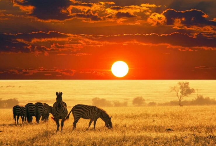 Exclusive-Escapes-Africa-Safari-Uganda-Safari-Travel-to-Africa-Map-of-Africa-Kampala-Exclusive-Luxury-Travel-Magazine-Beverly-Hills-Magazine-1