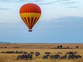 Extraordinary Travel Destinations: Kenya, Africa: #bevhillsmag #kenya #extraordinaryjourneys #traveldestinations #safari
