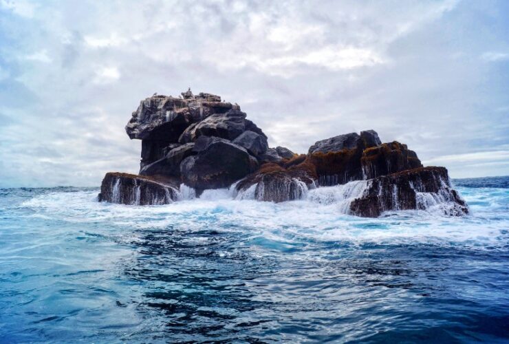 Extraordinary Travel Destinations: The Galapagos Island, South America: #bevhillsmag #extraordinaryjourneys #traveldestinations #galapagosislands
