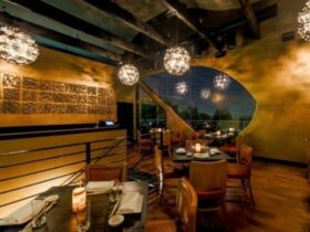 Yellowtail Sunset Sushi