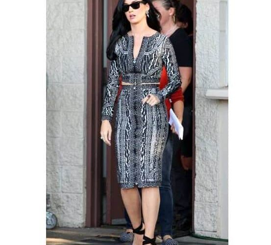 Hollywood-Celebrity-Style-Herve-Leger-Katy-Perry-Fashion-Magazine-Celebrities-Red-Carpet-Style-Beverly-Hills-Magazine-