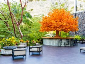 Hotel Mousai - A Tafer Resort: #bevhillsmag #taferresort #hotelmousai #traveldestination