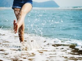 The Whole Purpose Women's Conference