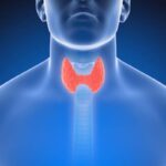 Wellness Program to Supplement Your Medical Program #health #bevhillsmag