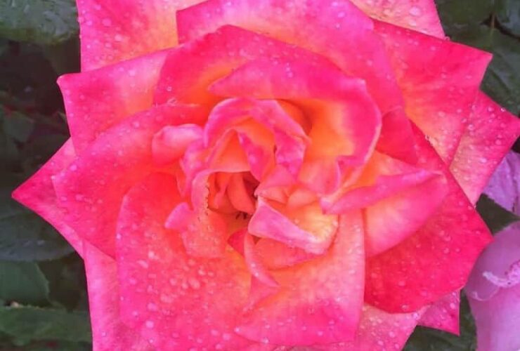 Time To #Spring Forward ~ #Love #JacquelienMaddison #beverlyhillsmagazine #BevHillsMag