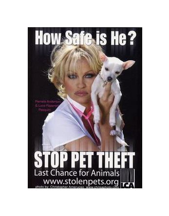 Last Chance for Animals Charity
