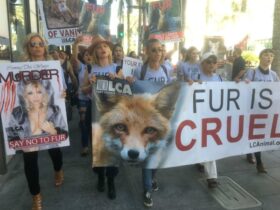 FUR IS CRUEL!!!