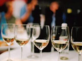 Slow Wine Guide Wine Tasting Event 2015