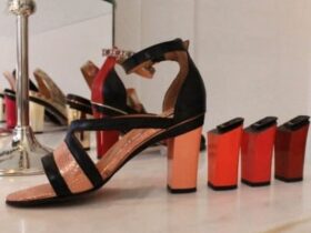 Tanya Heath Paris Interchangeable Heels!
