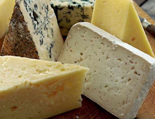 The Cheeses of Europe