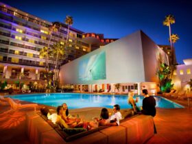 "Paint Nite" at Beverly Hills Hilton