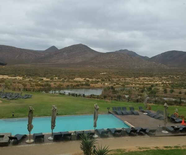 Luxury Travel In The African Bush