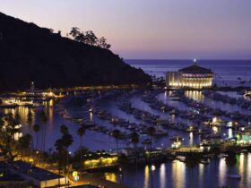 Travel-to-Catalina-Island-City-of-Avalon-Exclusive-Escapes-Weekends-Getaways-Luxury-Travel-Destinations-beverly-hills-magazine-1
