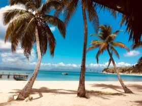 Most Exciting Adventures in Paradise Island Bahamas #nassau #bahamas #caribbean #bevhillsmag #beverlyhills #beverlyhillsmagazine