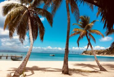Most Exciting Adventures in Paradise Island Bahamas #nassau #bahamas #caribbean #bevhillsmag #beverlyhills #beverlyhillsmagazine