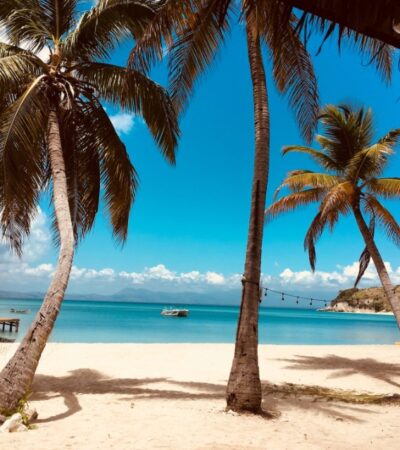 Most Exciting Adventures in Paradise Island Bahamas #nassau #bahamas #caribbean #bevhillsmag #beverlyhills #beverlyhillsmagazine