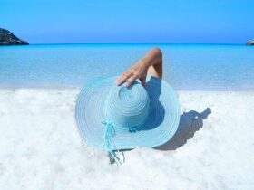 California vs. Florida - Which Is Best For You? #california #florida #beach #bevhillsmag #beverlyhills #beverlyhillsmagazine