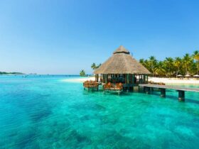 Exclusive Conrad Maldives Rangali Island Resort #travel #vacation #maldives #islands #island #beaches #hotels #resorts #bevhillsmag #beverlyhillsmagazine #beverlyhills #luxury #conradmaldives