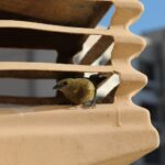 What You Should Know About Air Filters #filters #air #cleanair