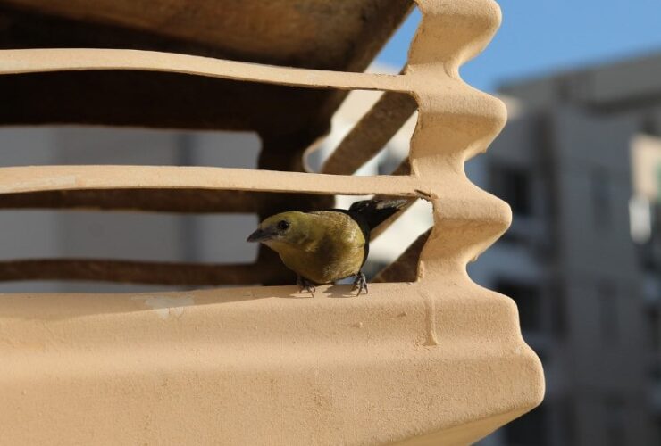 What You Should Know About Air Filters #filters #air #cleanair