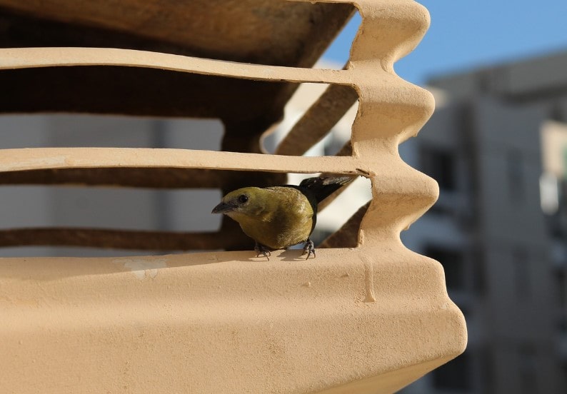 What You Should Know About Air Filters #filters #air #cleanair