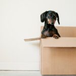 How To Put Your Stuff In Storage #moving #newhome #storage