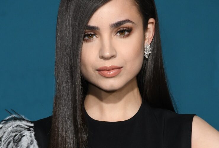 Hollywood Spotlight: Sofia Carson #SofiaCarson, #HollywoodStar, #Descendants, #PurpleHearts, #NetflixMovies, #UNICEF, #Philanthropy, #ActressCareer, #FutureProjects, #CharityWorks