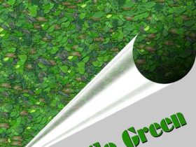 Tips For Your Business Go Green