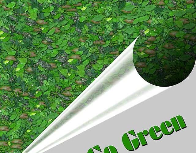 Tips For Your Business Go Green