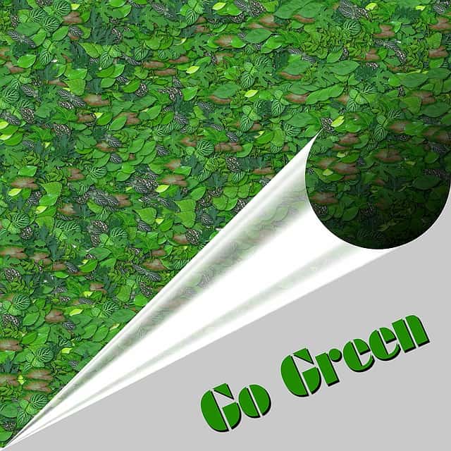 Tips For Your Business Go Green