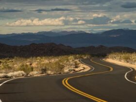 Tips To Prepare For A Great American Road Trip