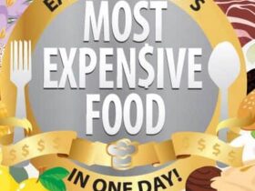 World's Most Expensive Food