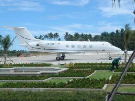 The Celebrity Lifestyle