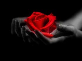 Philanthropy: Good For Your Soul And Your Business